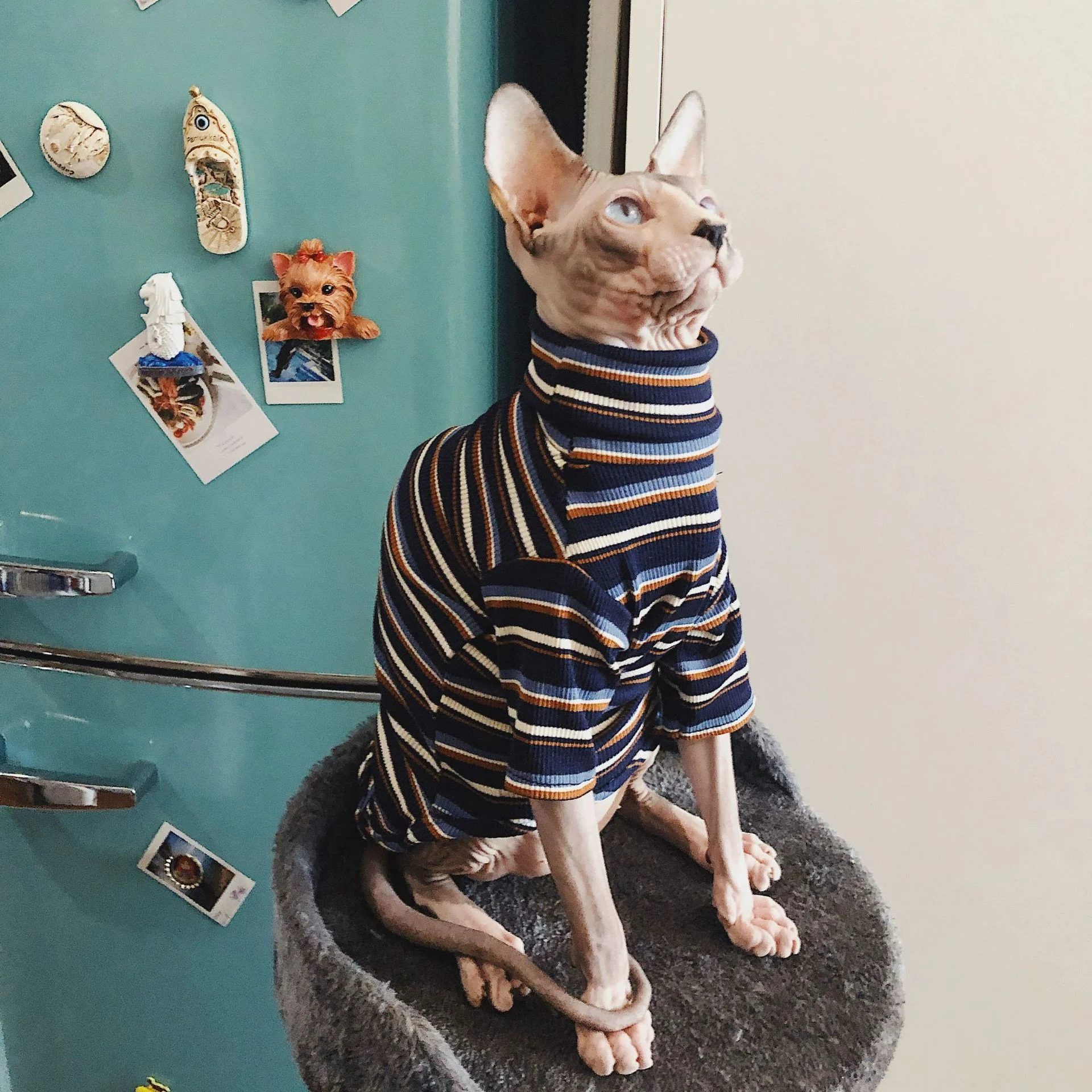 Sunday Stripe Onesie — supplier reference