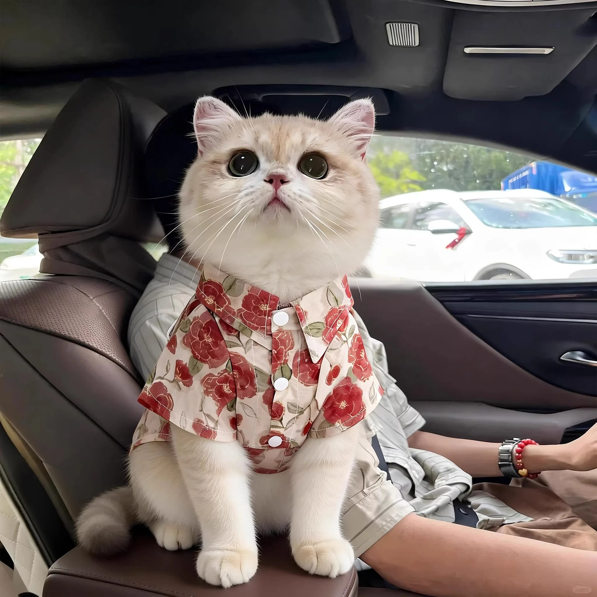 Garden Holiday Shirt — supplier reference