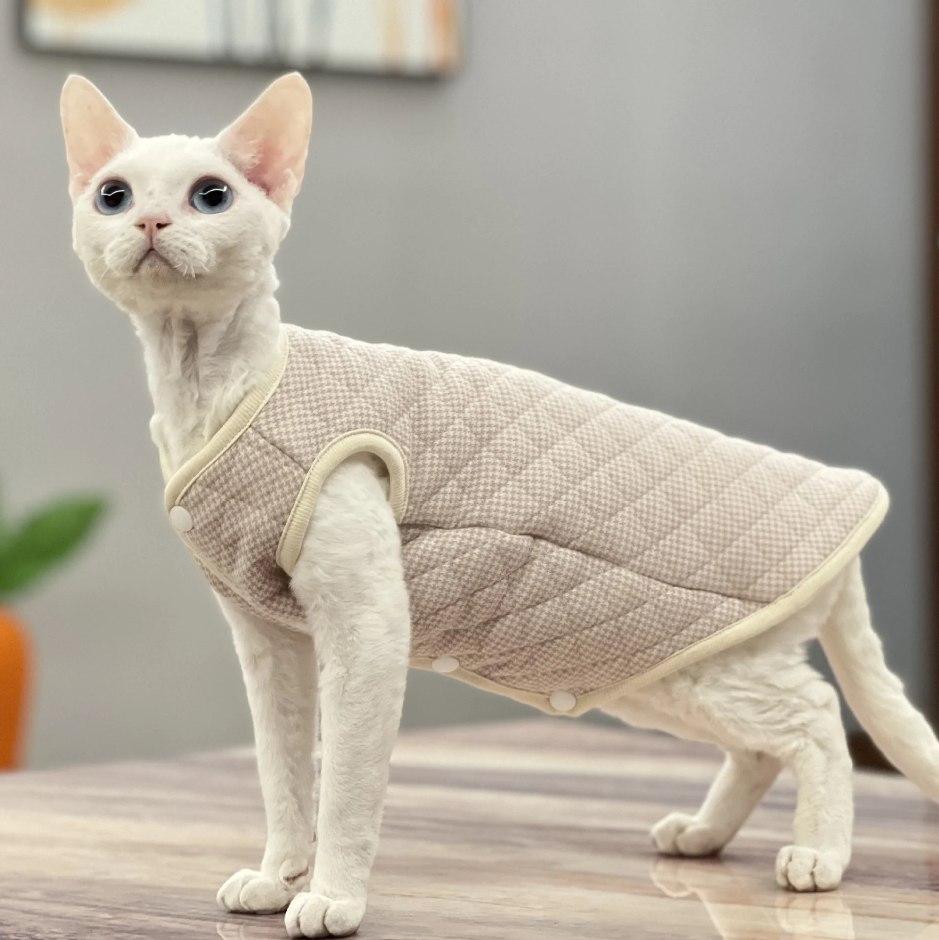 Quilted Cat Vest — supplier reference
