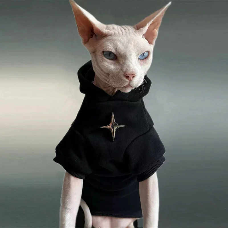 Star Detail Black Hoodie — supplier reference