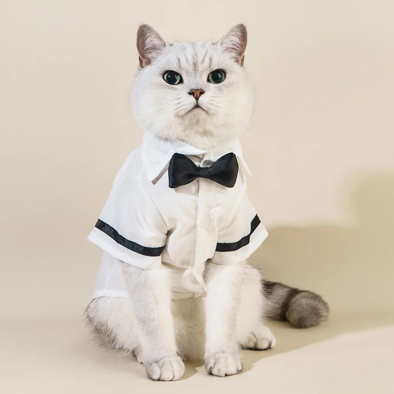 Bow-Tie Occasion Shirt — supplier reference