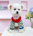 Colorful retro striped sweater — supplier reference