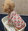 Cherry sweater - pink — supplier reference